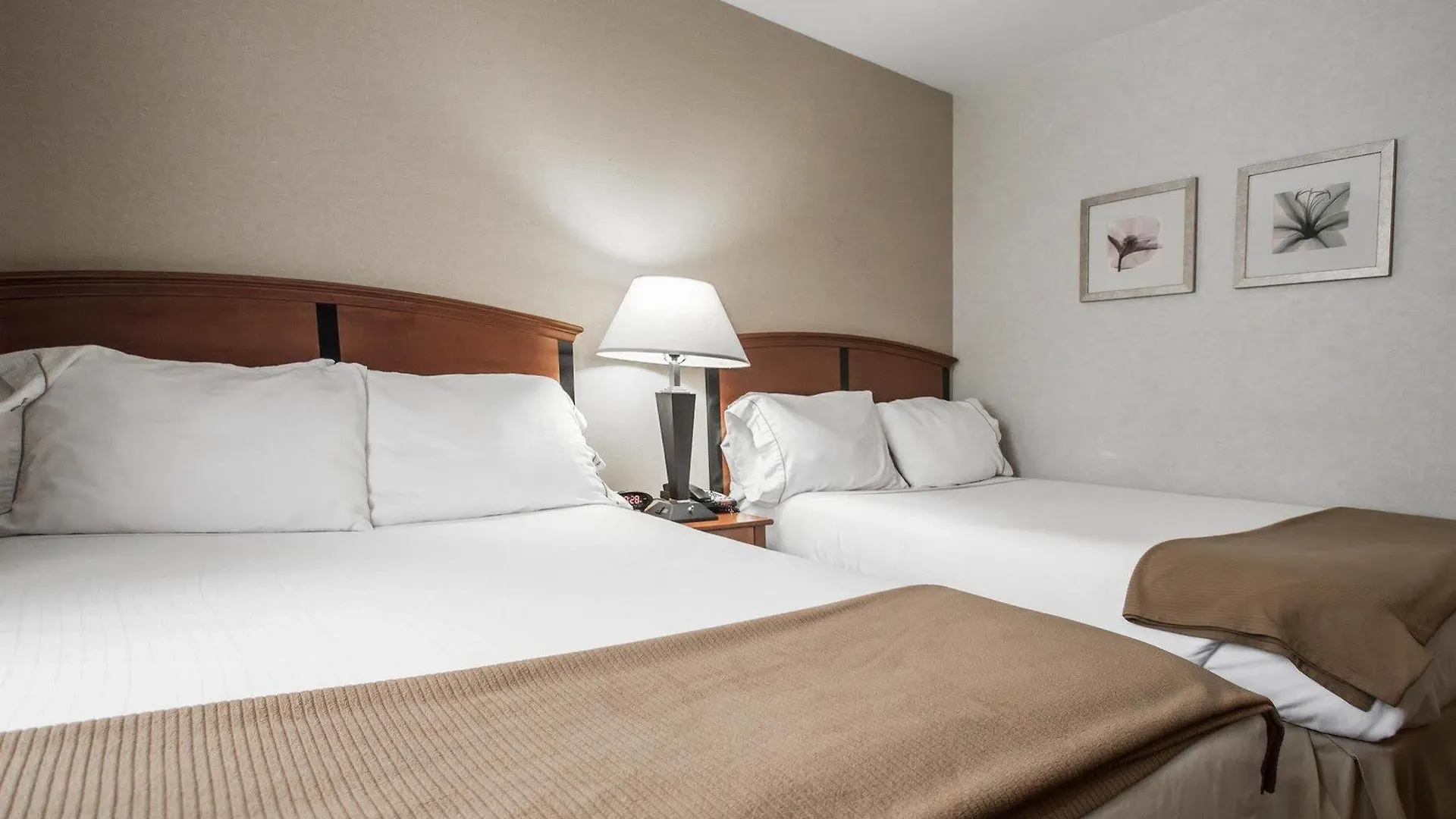 Red Lion Inn And Suites Brooklyn New York Hotel